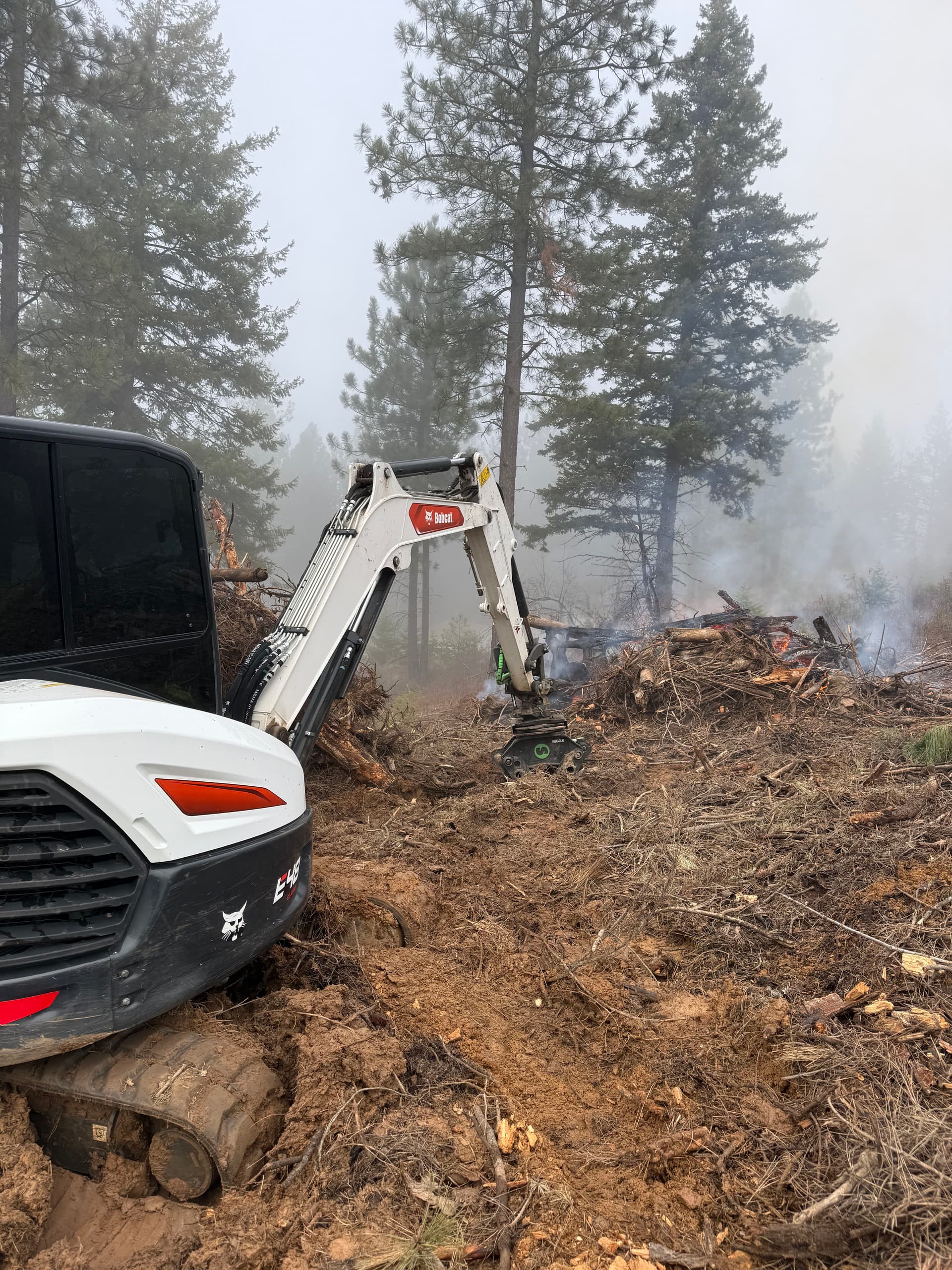Excavation and Debris Clearing in Scenic Woodland Area image